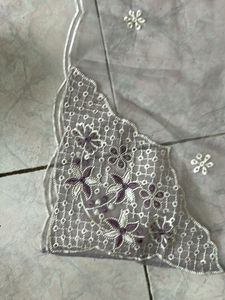 Ramsha Elegant Suit