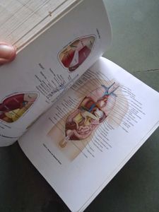 Dorland&#39;s Medical Dictionary