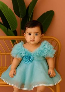 Fancy Frock Dress