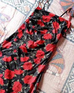 SAVANA Sheer Bodycon Dress (New With Tag AndPouch)