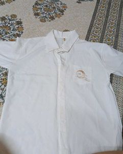 Very Elegant Shirt