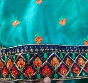 Beautiful Saree Without Blouse