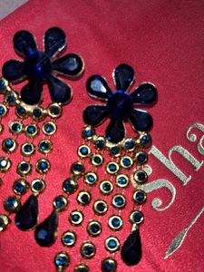 Western Earrings
