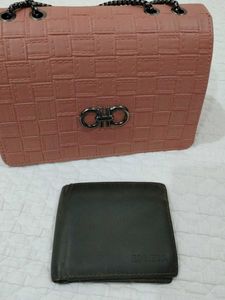 Wallet &amp; Handbag Combo