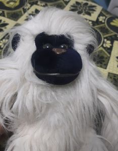 Monkey 🐒 Teddy