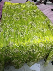 Green Embroidered Skirt