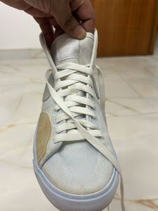 Nike SB Shoes