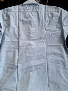 Turtle Full Shirt 46 To 48 Size Will Fit