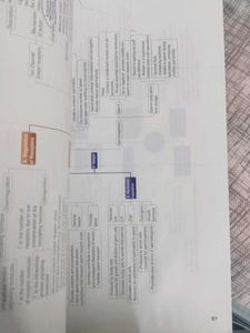 Medical Physiology Textbook