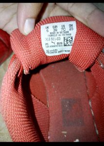 Puma Ferarri Model Shoes