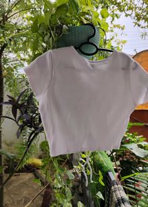 White Crop Top