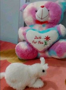 Colorful Teddy Bear with rabbit 🐇🐰