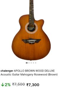 Challenger Guiter