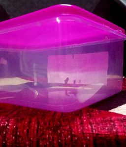 New Empty Container Box