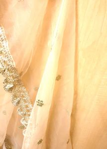 Beautiful Delicate Embroidered Dupatta