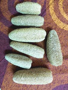 2 Ridge Gourd Fibre Natural Loofah