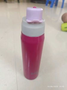 Stainless Steel 1 L Bottle