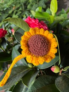 Sunflower Stroll