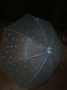 Skyblue Dot Umbrella