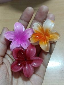 6 Flower Hair Claw Clips SET