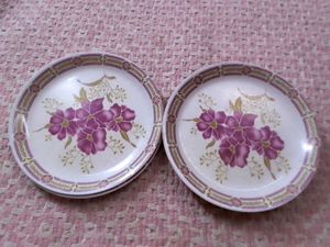 Dinnerware Plates (Set of 5)