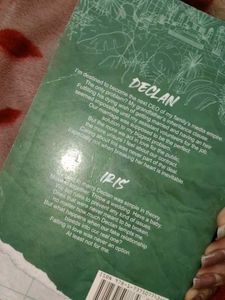 Terms And Conditions by Lauren Asher