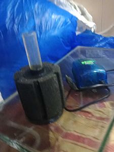 Aquarium Filter &amp; Air Pump