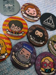 Harry Potter Souled Store Badges