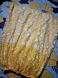 Gorgeous Lehenga Choli
