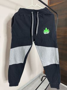 mens trackpant