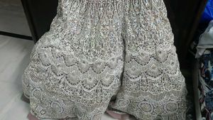 Elegant Pastel Lehenga with Intricate Embroidery a
