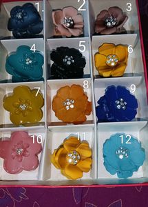 Clotur... Hair Clips