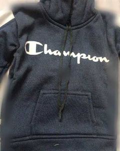 Champion Pullover Hoodie