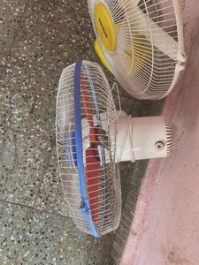 Table Fans Combo🤗