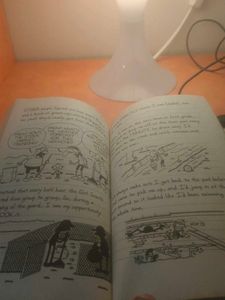 Diary of a Wimpy Kid: Old School