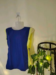 Blue Sleeveless Two-toned Top