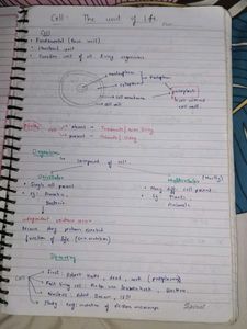 Class 11th Bio Toppers Batch Notes