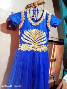 Beautiful Blue Berry Gown