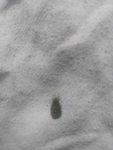 Tommy Colorblock Sweatshirt