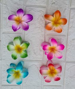 Daizy Hair Clawclip-random Colour