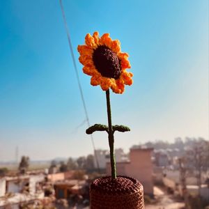 Handmade Crocheted Sunflower Decoration
