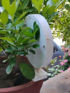 Mirror With Stand