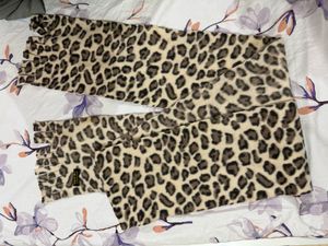Leopard Print Scarf🧣