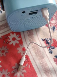 🎤🎶Portable Karaoke Microphone &amp; Speaker