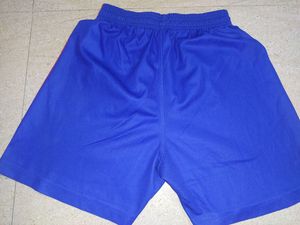 Blue Striped Shorts