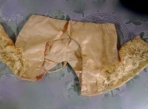 women&#39;s stylish net blouse