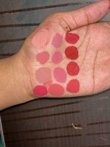 Lipsticks Palette
