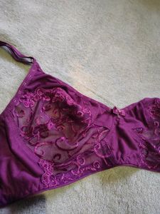 Beautiful Purple Colour Net Bra Panty