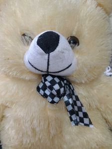 Cute Cream Teddy Bear