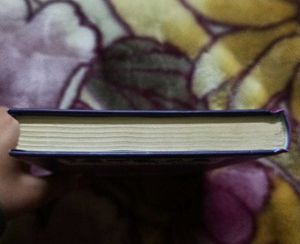 Diary Of A Wimpy Kid: The Melt Down